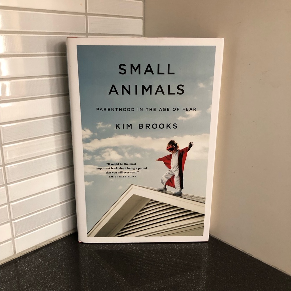 Small Animals: Parenting in the Age of Fear hardcover book